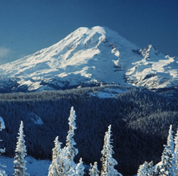 Mount Rainier Picture